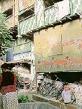 Timeline Photo 9209227a.jpg